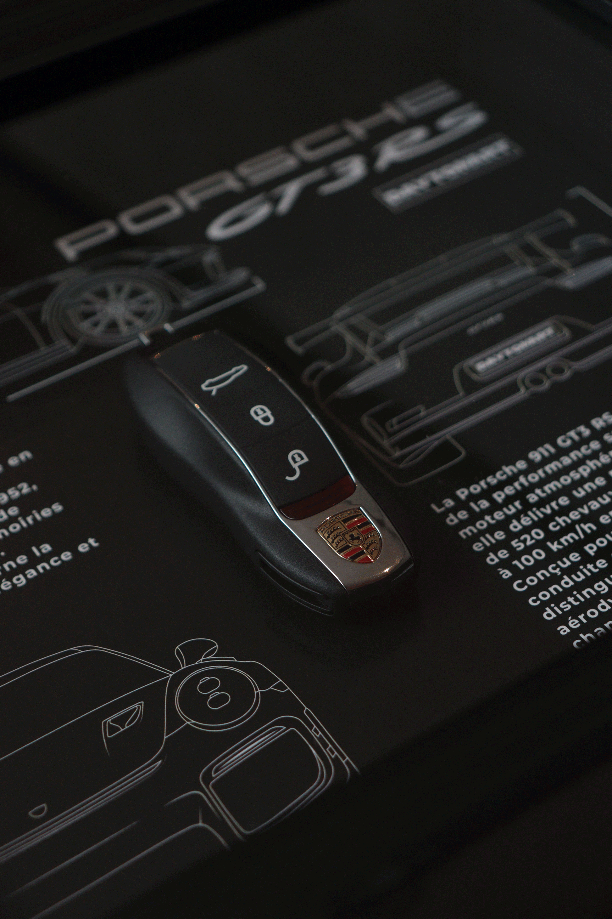 Cadre Porsche GT3 RS 991 Fiche Technique Daytonart.fr